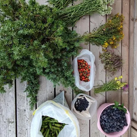 Saaremaa Saunakompleks Kanissaarel Camping *