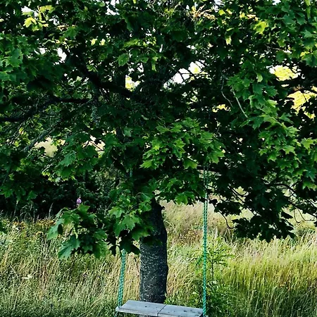 Camping Saaremaa Saunakompleks Kanissaarel Kanissaare