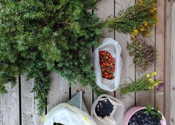 Saaremaa Saunakompleks Kanissaarel Campingplads *